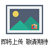 博泰